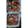 PASTRAMA domaće dimljeno proprženo meso zaliveno u mast  kofa od 2.5.kg