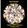 PASTRAMA domaće dimljeno proprženo meso zaliveno u mast  kofa od 2.5.kg