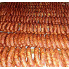 Krnat vlaški pikant kobasica