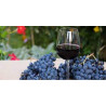 Kapric Pinot Noir 0,75