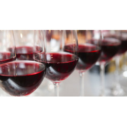 Kapric Pinot Noir 0,75