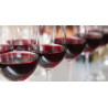 Kapric Pinot Noir 0,75