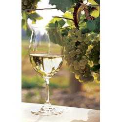 Vino Traminac 0,75