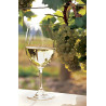 Vino Traminac 0,75