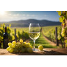 Vino Traminac 0,75