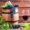 Vino Game 0,75