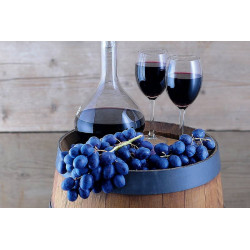 Vino Game 0,75