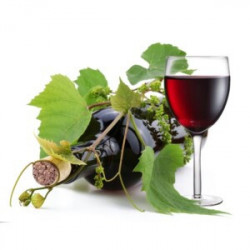 Vino Game 0,75