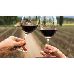 "Krajinska vina" Cabernet Sauvignon 0,75l