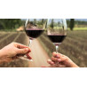 "Krajinska vina" Cabernet Sauvignon 0,75l