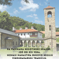 Vez Manastir Bukovo 0.75