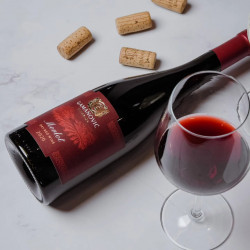 Gamanović Merlot